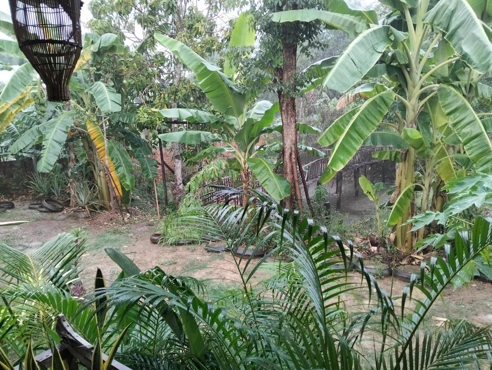 Odambang Village Homestay Battambang Exterior foto